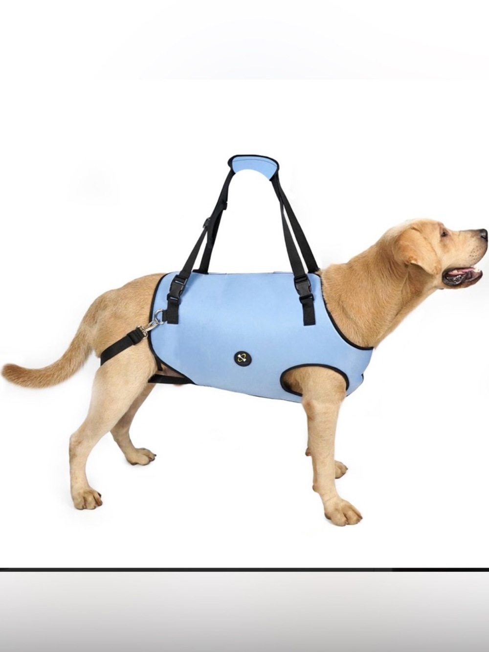 Adjustable Light Blue Dog Support Harness with Padded Lift Handles